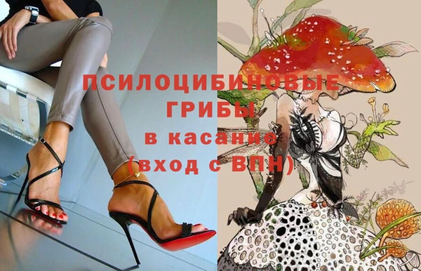 экстази Осташков